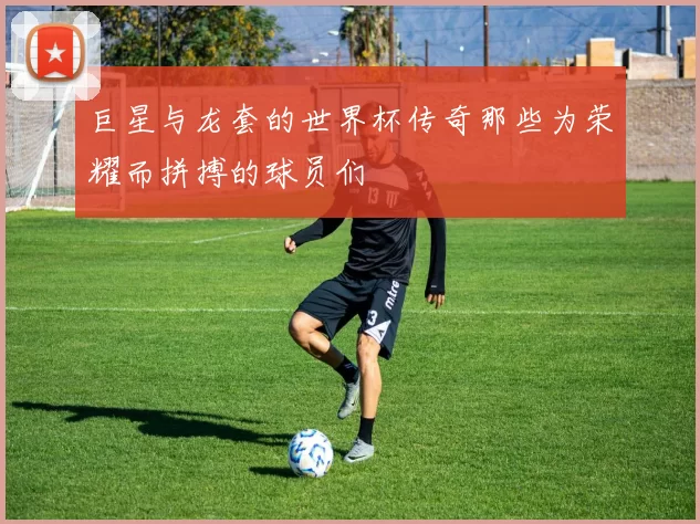 巨星与龙套的世界杯传奇那些为荣耀而拼搏的球员们