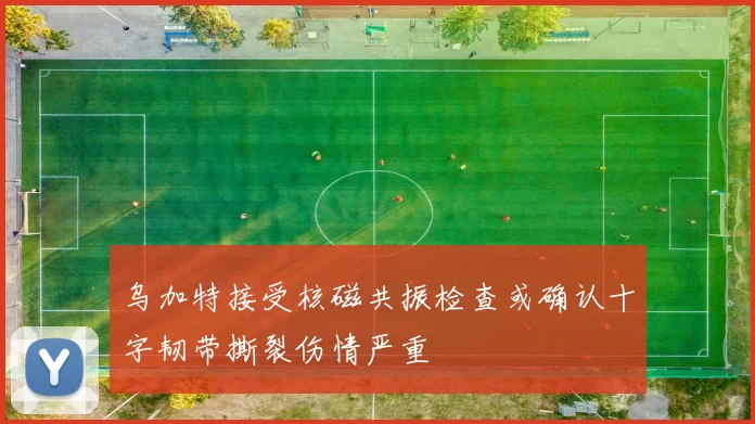 乌加特接受核磁共振检查或确认十字韧带撕裂伤情严重