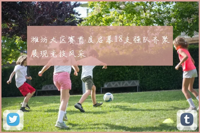 潍坊大区赛首度启幕18支强队齐聚展现竞技风采